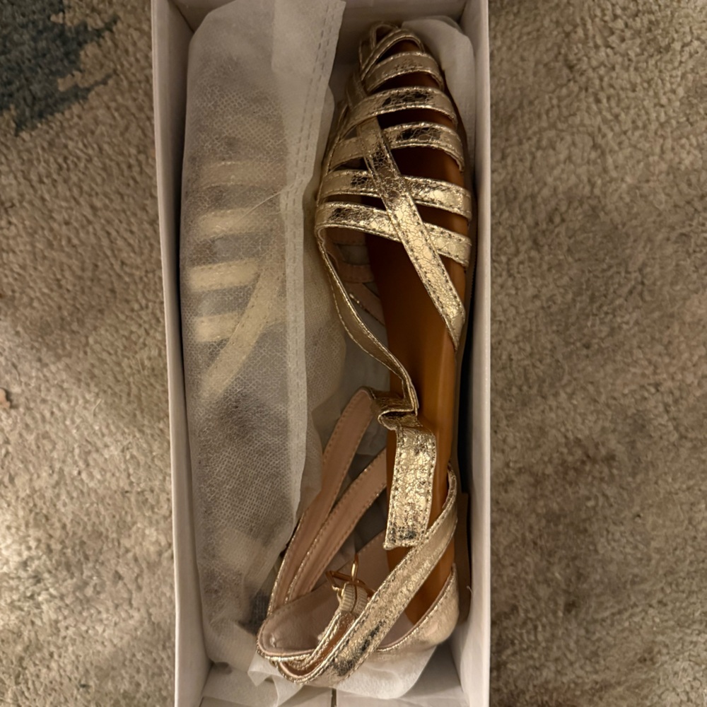 Gold Strappy Flat Sandals – Ankle Strap – Size 39 (US 8–8.5) – New